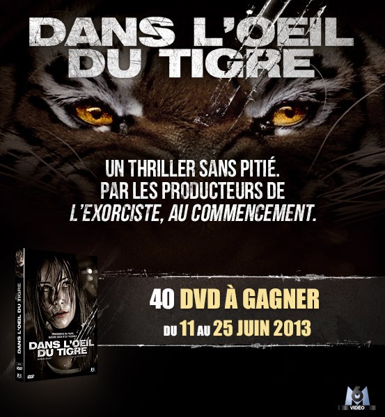 Jeu Concours : Dans l'Oeil du Tigre - 40 DVD à gagner
