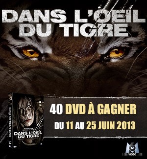 Jeu Concours : Dans l'Oeil du Tigre - 40 DVD à gagner