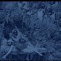 Cecil B. DeMille : grandeur et décadence - Menu DVD du 29/09/2008