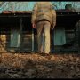 Evil Dead