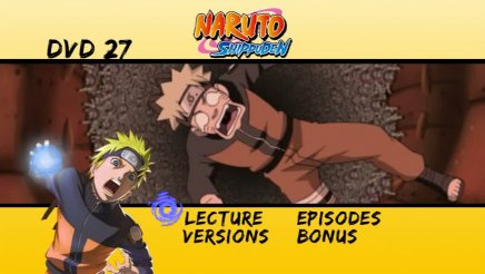 Naruto Shippuden -  Coffret 9