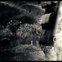 Sin City - Edition Ultime