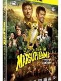 DVD Sur la piste du Marsupilami - DVD