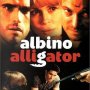 Albino Alligator