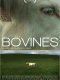 Bovines