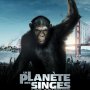 La planète des Singes : Les origines