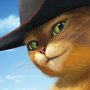 Le Chat Potté