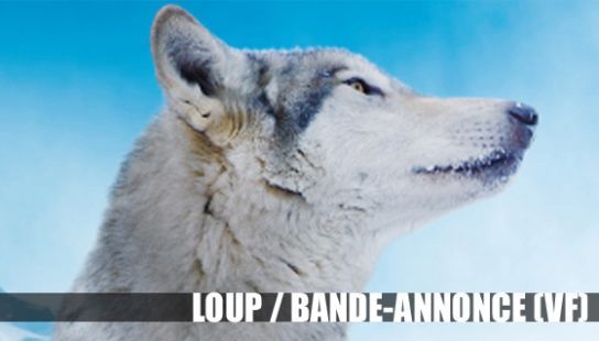 Lire la vidéo