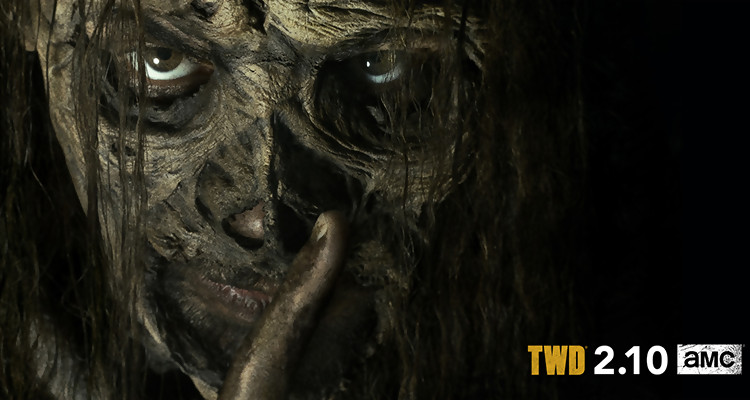 The Walking Dead Saison 9 Streaming The Walking Dead Saison 9 Streaming