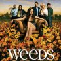 Weeds