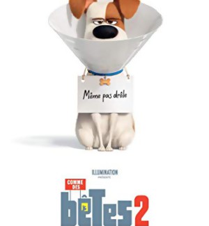 JEU CONCOURS COMME DES BÊTES 2 : des DVD et Blu-Ray à gagner
