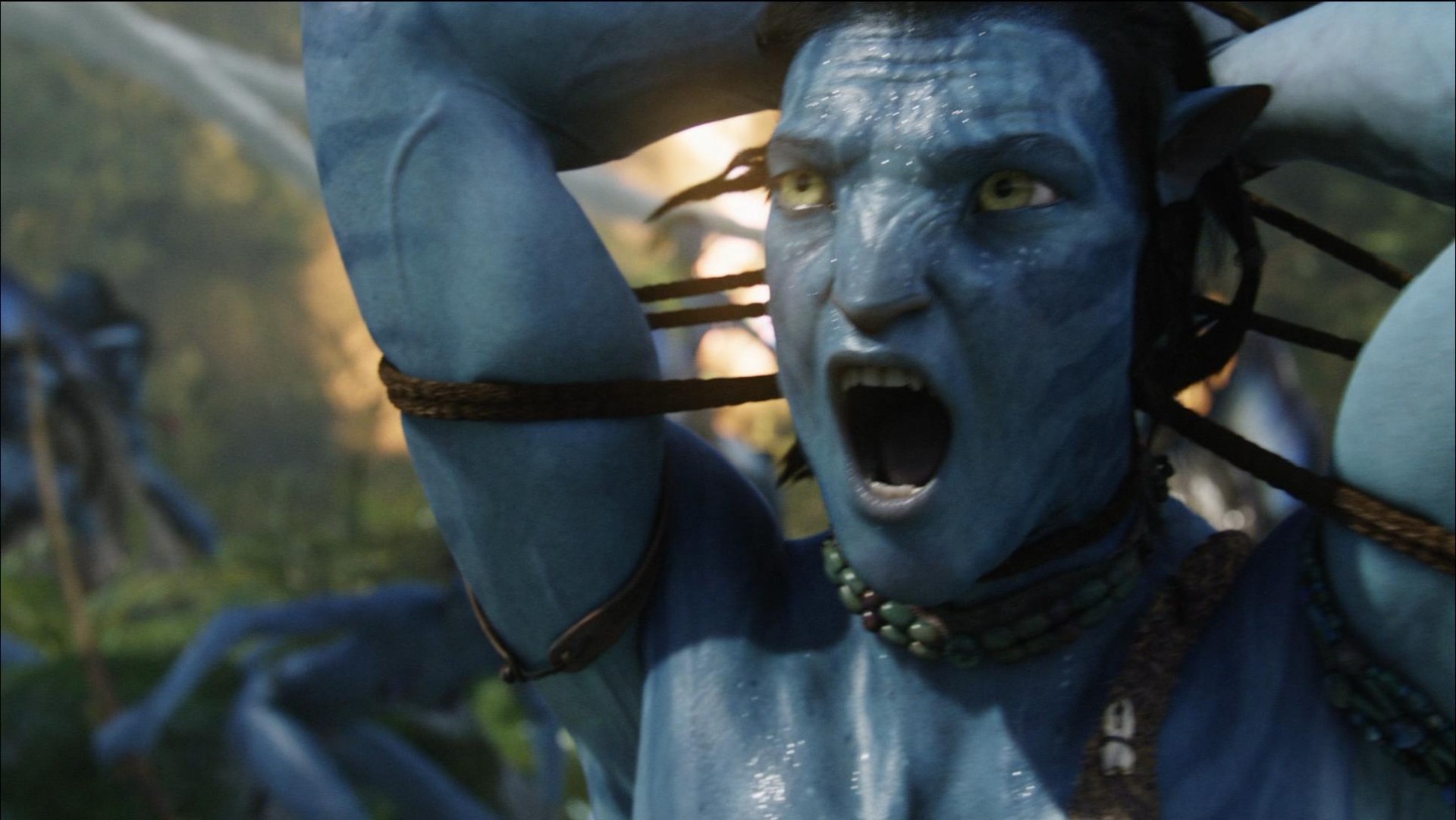 Avatar : le Blu-ray en 100 captures.