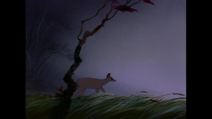 Bambi : nos captures Blu-Ray en Full HD