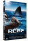 The reef