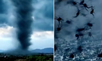 Arachnado : après Sharknado voici les tornades d'araignées mutantes (trailer)