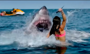 Shark Bay : une bande-annonce sanglante pour le film de requin de Prime Video
