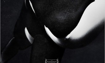 Blackfish