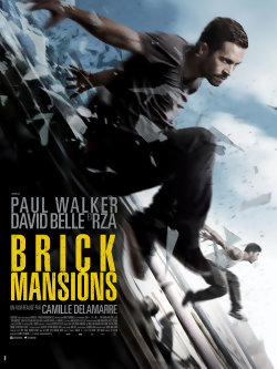 Brick Mansions