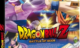 Dragon Ball Z : La Bataille des Dieux
