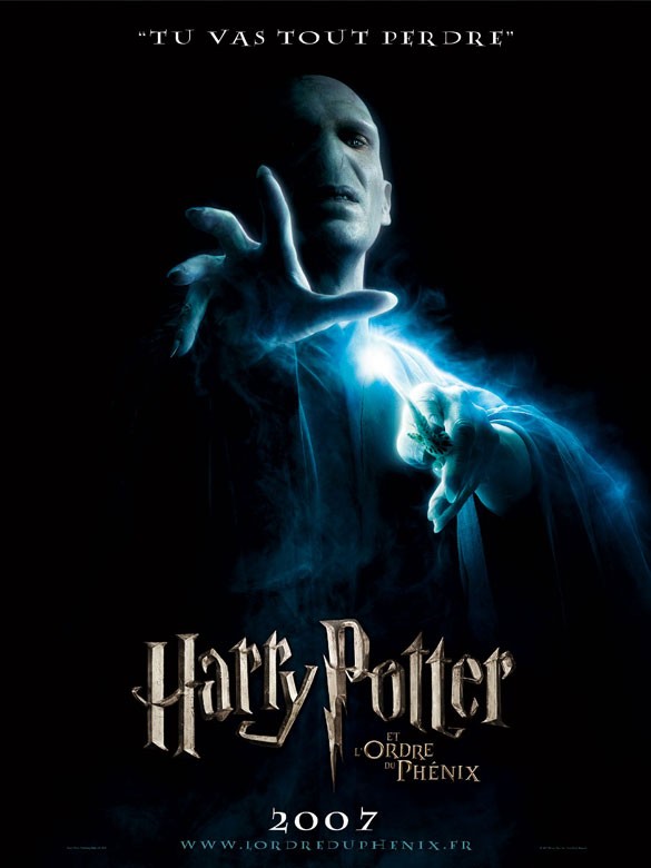 Harry Potter - Coffret Intégrale 8 Films [DVD]: : Daniel  Radcliffe, Rupert Grint, Emma Watson, David Yates: DVD et Blu-ray