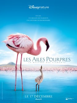Les Ailes Pourpres