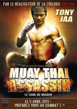 Muay thai assassin