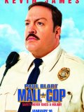 Paul Blart : super vigile