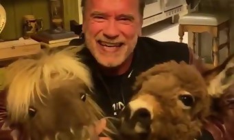 Arnold Schwarzenegger en quarantaine avec son mini cheval et son âne : 