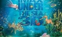 Under the sea 3D