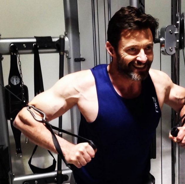 Wolverine 3