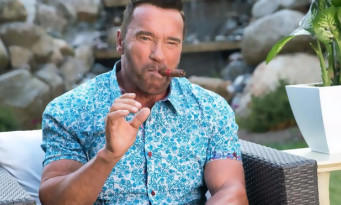 Arnold Schwarzenegger : une série d'action et d'espionnage Netflix pour 2021