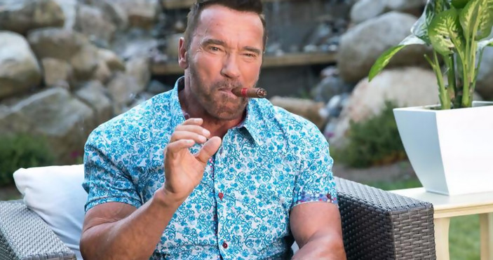 Arnold Schwarzenegger Filme 2021