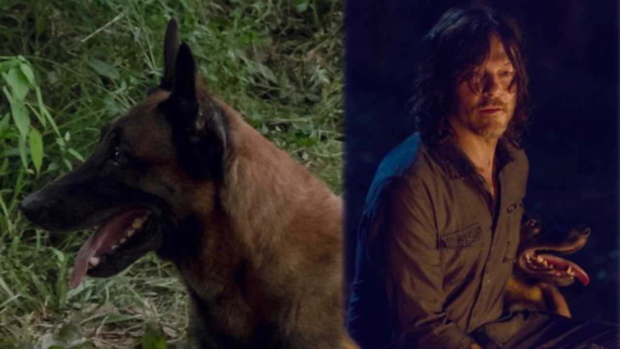 The Walking Dead saison 9 : une pétition de fans pour sauver le chien ...